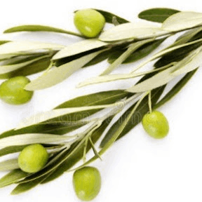 Junta de Freguesia de Bogas de Cima