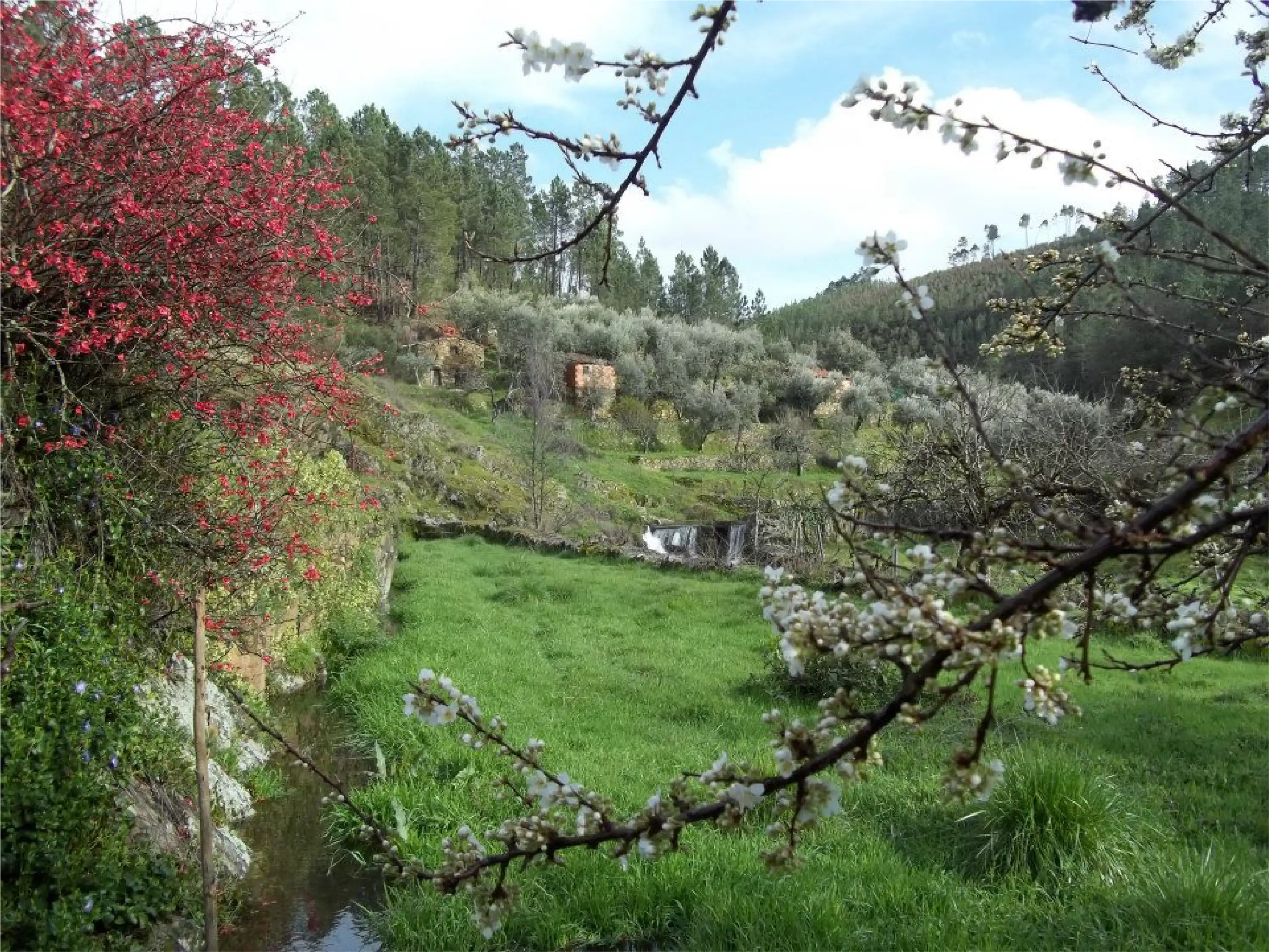 Junta de Freguesia de Bogas de Cima